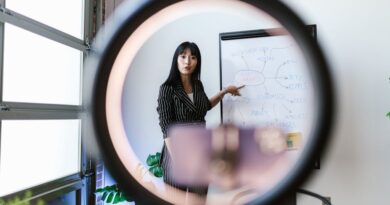 Startup Survival: Thriving in Competitive Markets